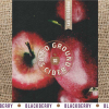 Solid Ground Cider - Blackberry