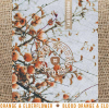 Solid Ground Cider - Blood Orange & Elderflower