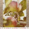 Solid Ground Cider - Mcintosh